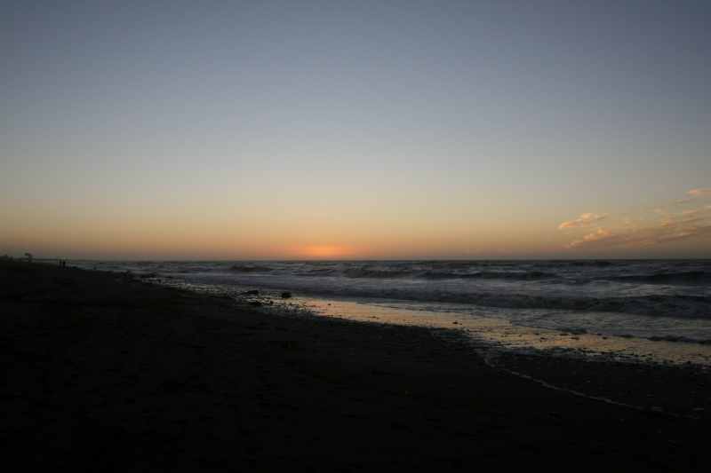 Nieuw-Zeeland 2011 - 1389